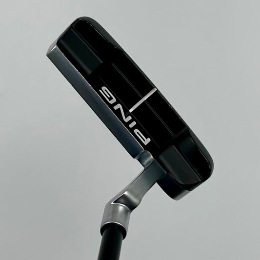 Ping Anser (2023) / 35"