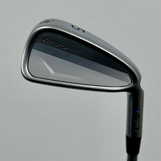 Ping i230 J5 / Regular / Nippon Ping AWT 2.0 R
