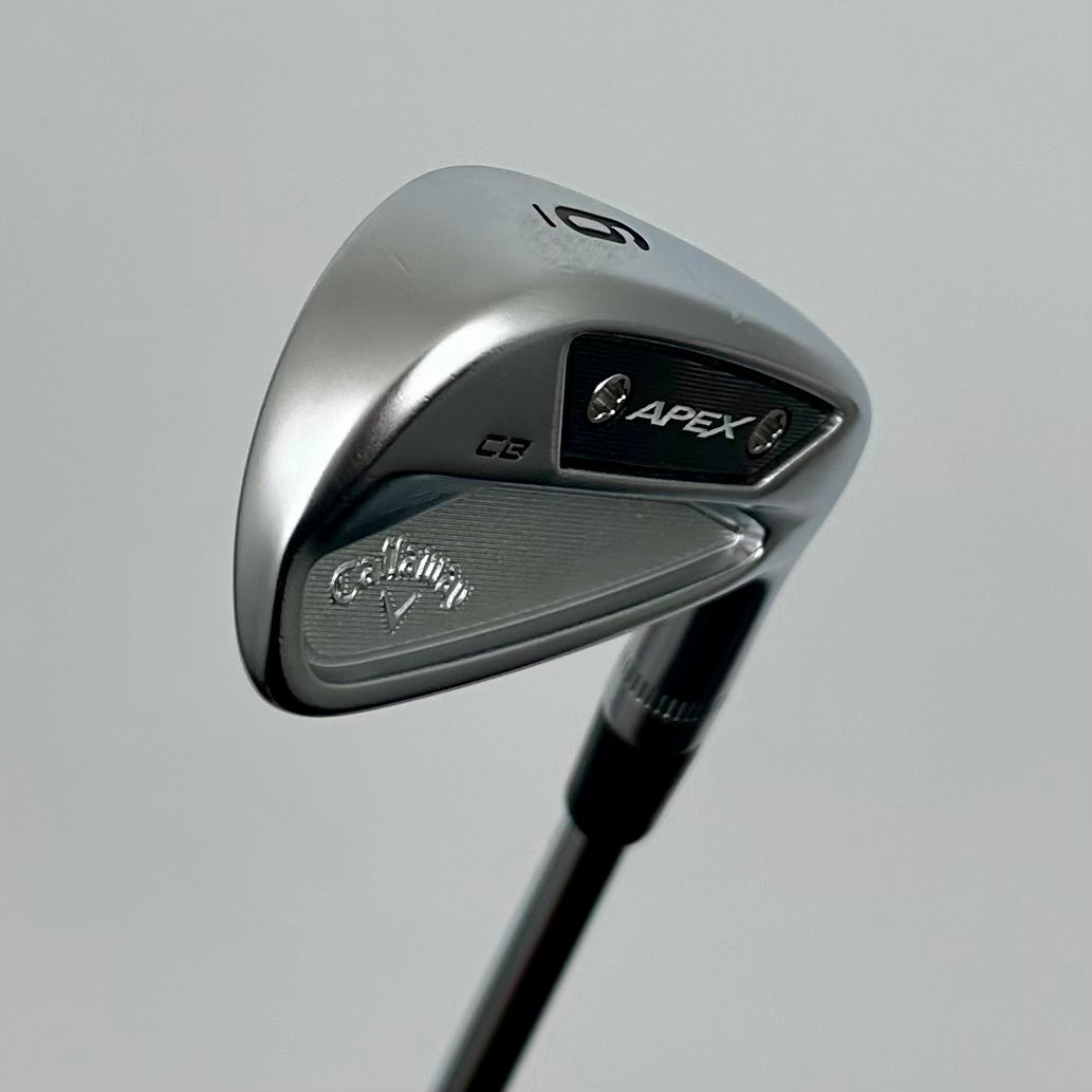 Callaway Apex CB/Pro 24 4-10 / X-Stiff / TT Dynamic Gold Tour Issue X100