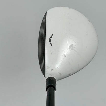 BenRoss Quad FW5 19° / Regular / Aldila VooDoo R
