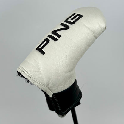 Ping Anser (2023) / 35"