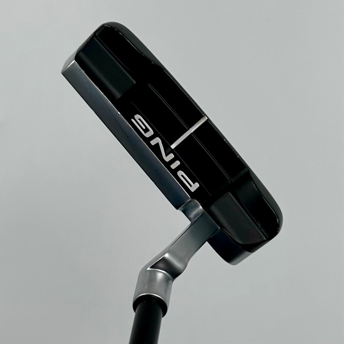 Ping Anser (2023) / 35"