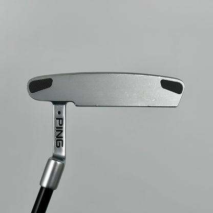Ping Anser (2023) / 35"