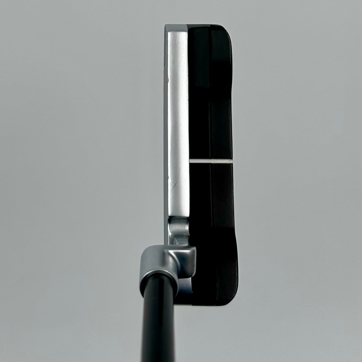 Ping Anser (2023) / 35"