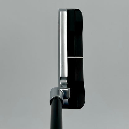 Ping Anser (2023) / 35"