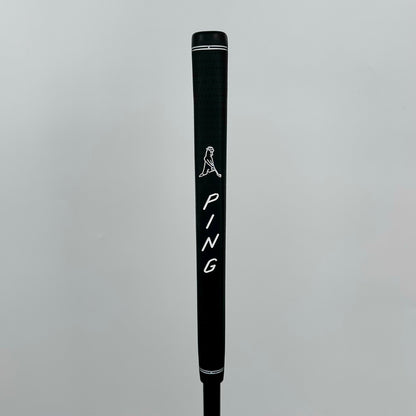 Ping Anser (2023) / 35"