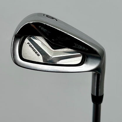 XXIO Forged 6-P / Regular / Nippon N.S.PRO 920GH R