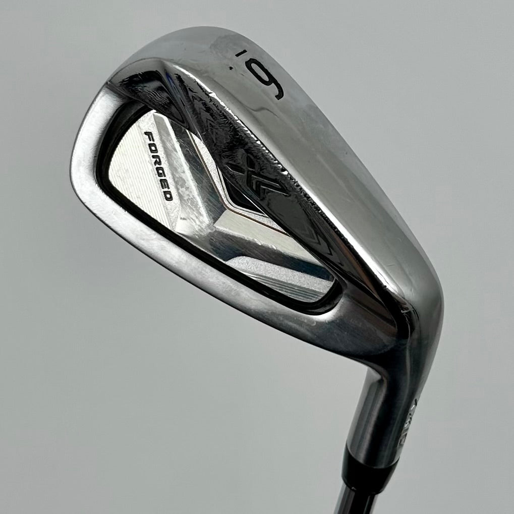 XXIO Forged 6-P / Regular / Nippon N.S.PRO 920GH R